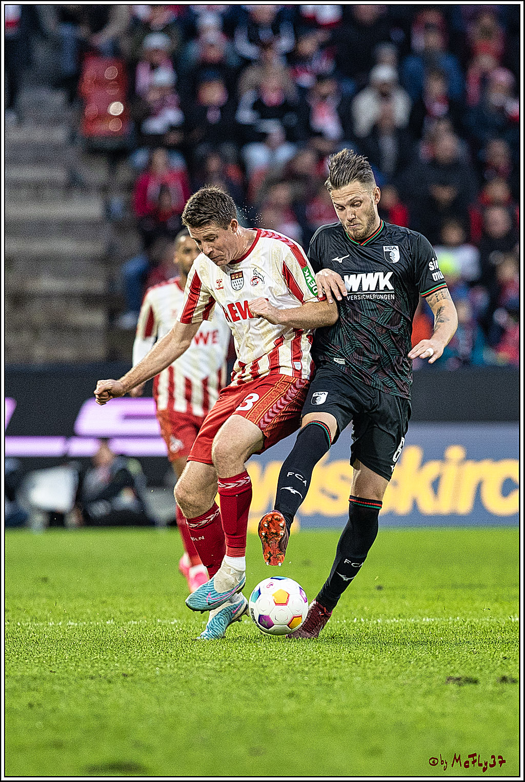 1. Fussball Bundesliga, 1.FC Koeln - FC Augsburg, 04.11.2023