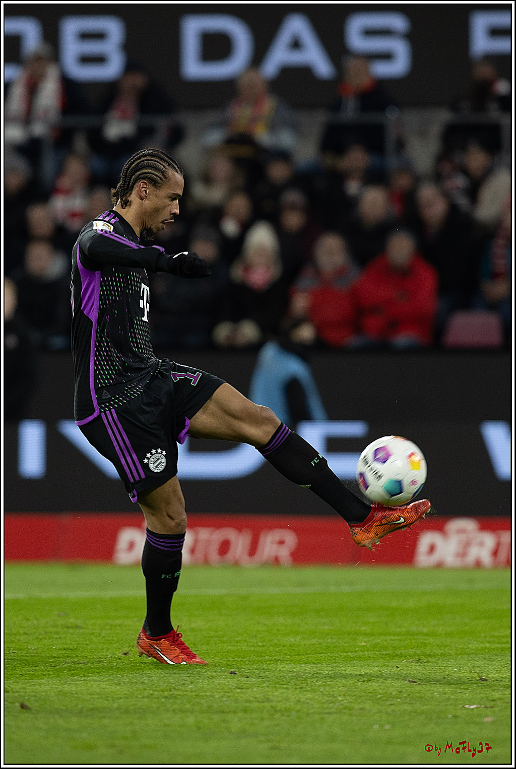 1. Fussball Bundesliga, 1.FC Köln - FC Bayern München, 24.11.2023