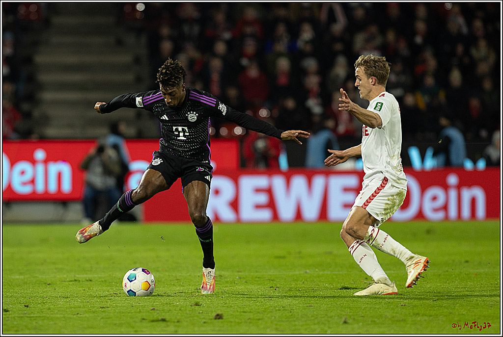 1. Fussball Bundesliga, 1.FC Köln - FC Bayern München, 24.11.2023