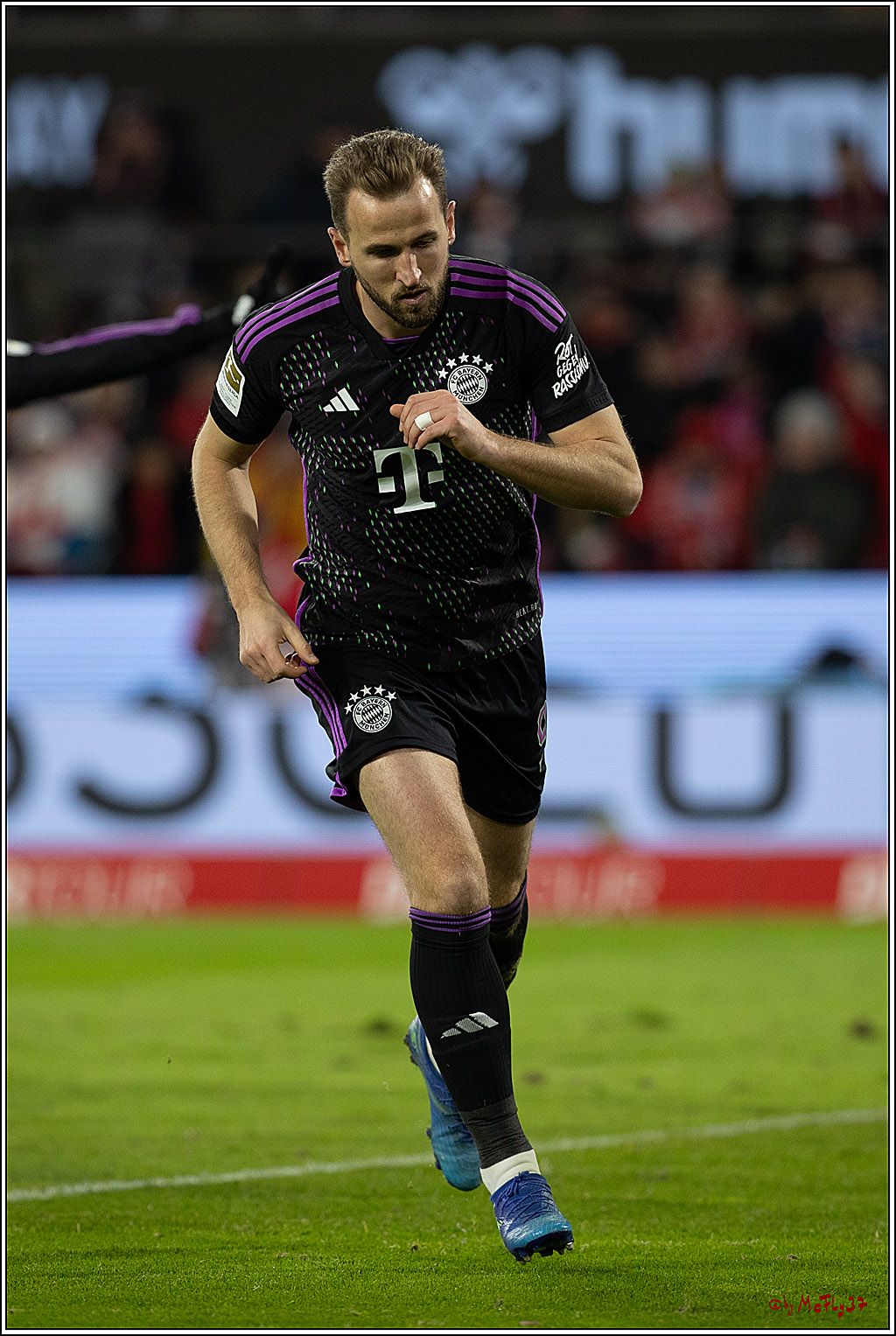 1. Fussball Bundesliga, 1.FC Köln - FC Bayern München, 24.11.2023