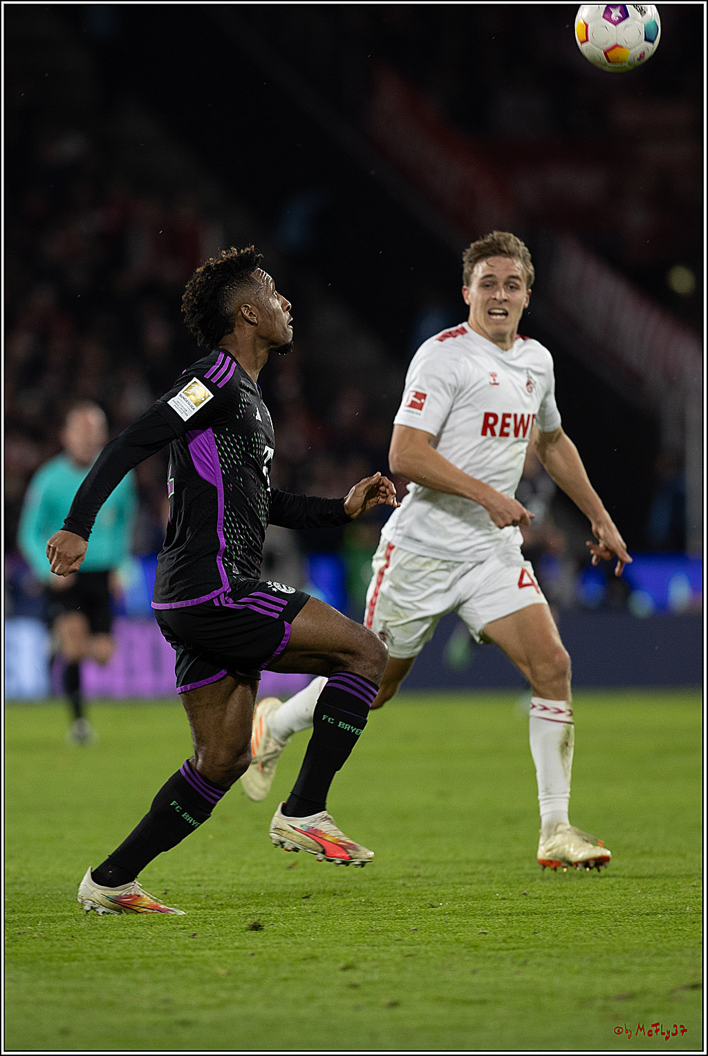 1. Fussball Bundesliga, 1.FC Köln - FC Bayern München, 24.11.2023