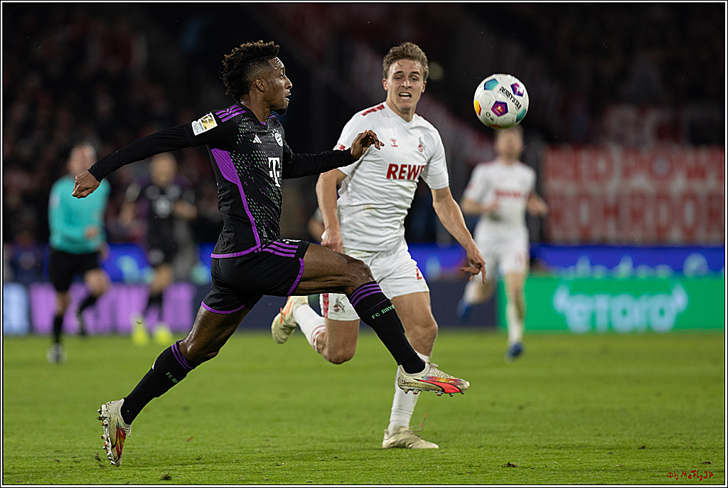 1. Fussball Bundesliga, 1.FC Köln - FC Bayern München, 24.11.2023