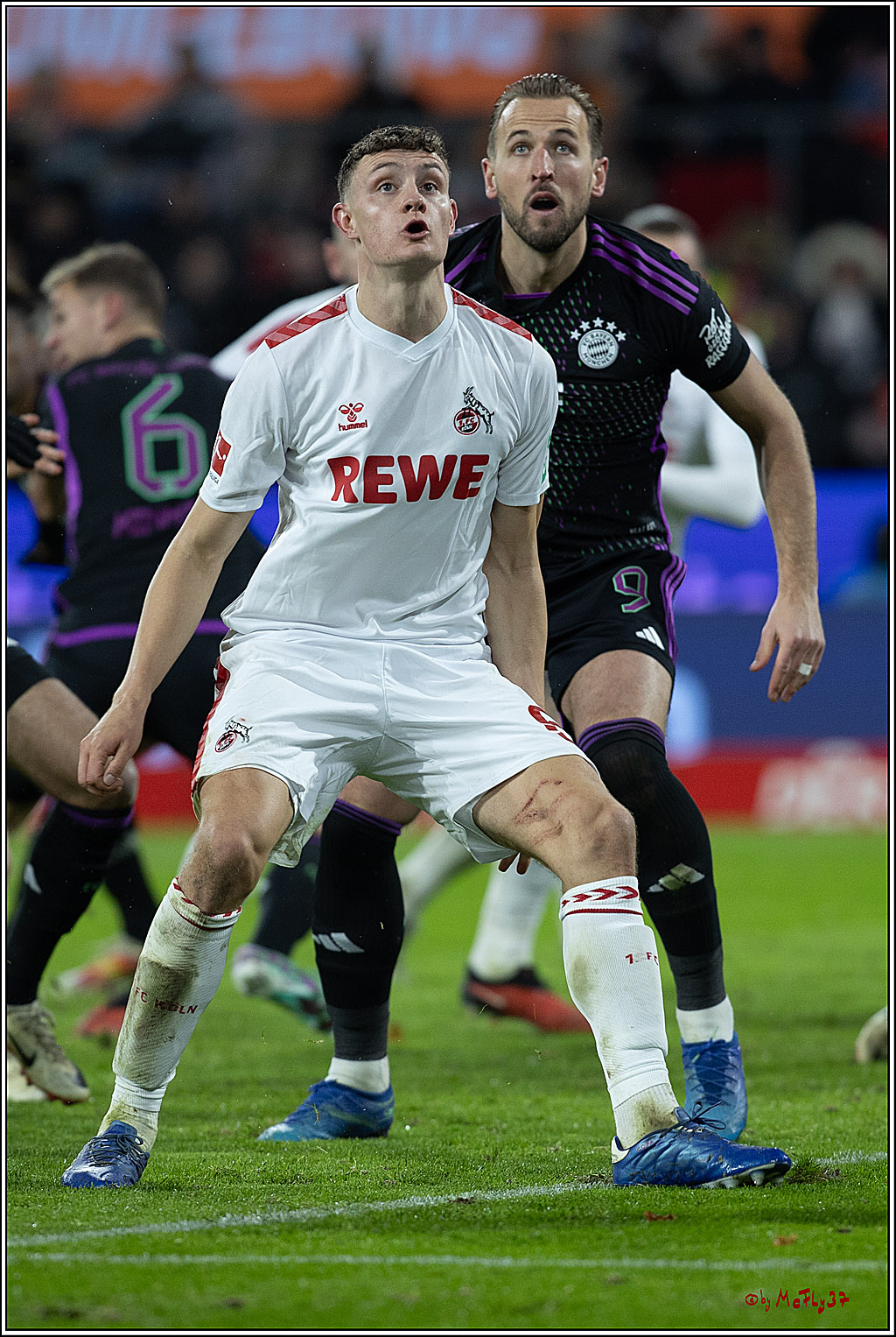 1. Fussball Bundesliga, 1.FC Köln - FC Bayern München, 24.11.2023