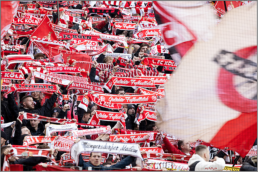 1. Fussball Bundesliga, 1.FC Köln - SV Darmstadt 98, 20.04.2024