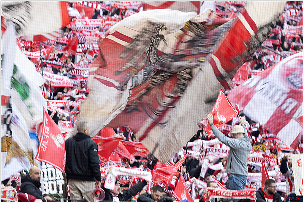 1. Fussball Bundesliga, 1.FC Köln - SV Darmstadt 98, 20.04.2024