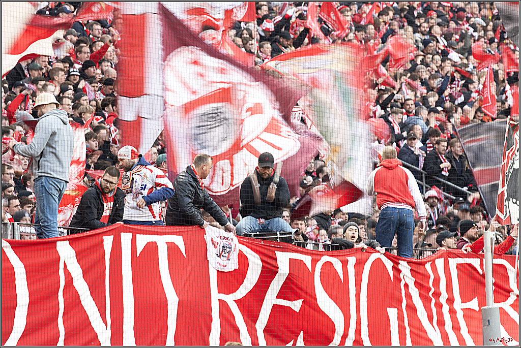 1. Fussball Bundesliga, 1.FC Köln - SV Darmstadt 98, 20.04.2024