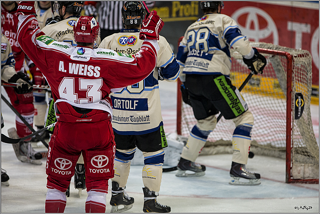 DICK1681