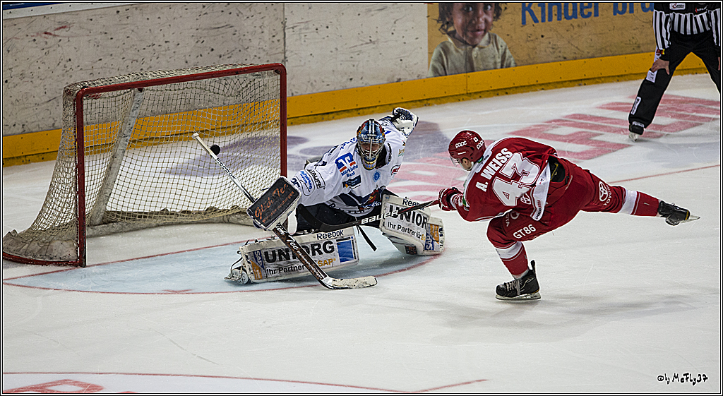 DICK5208