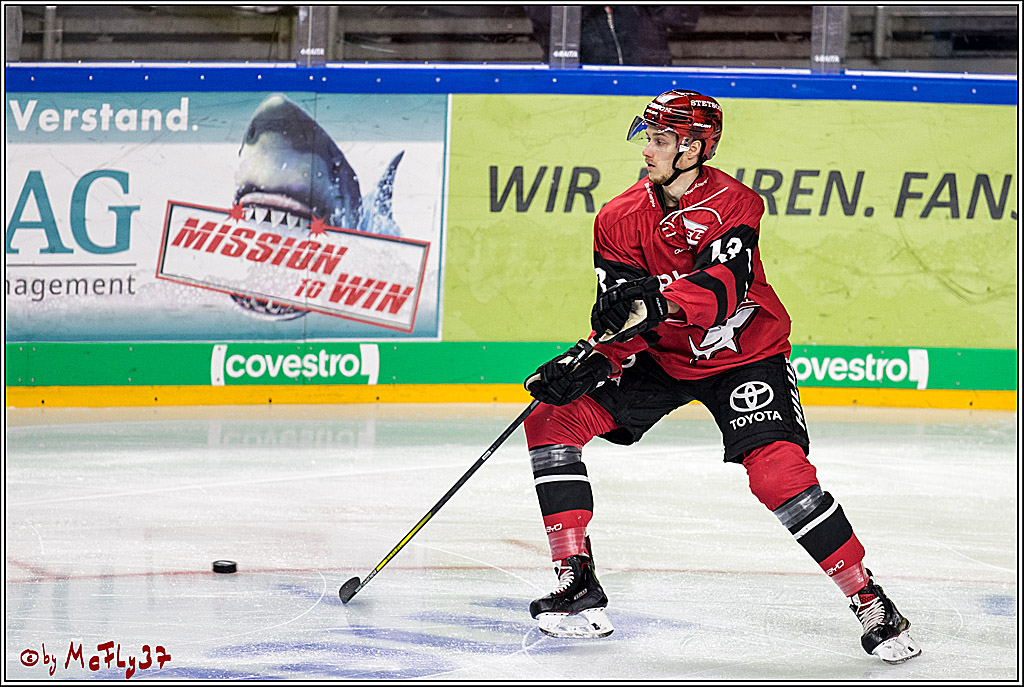 DEL, Koelner Haie - Eisbaeren Berlin, 24.10.2017