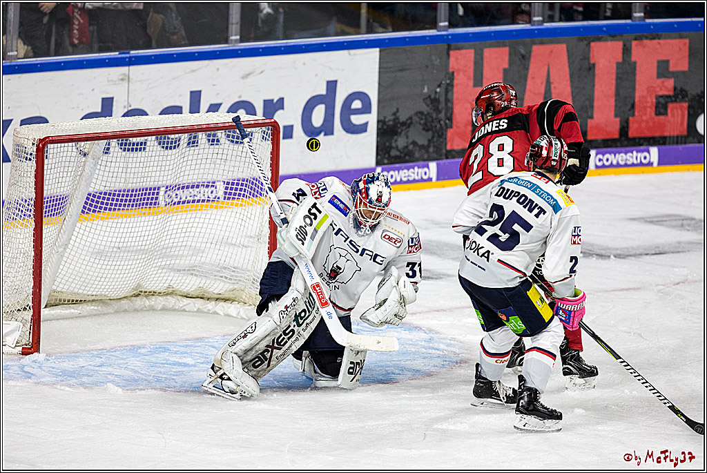DEL, Koelner Haie - Eisbaeren Berlin, 24.10.2017