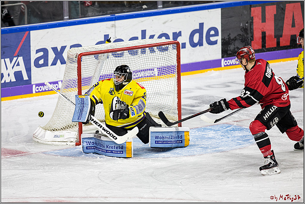 DEL, Koelner Haie - Krefeld Pinguine, 15.11.2017