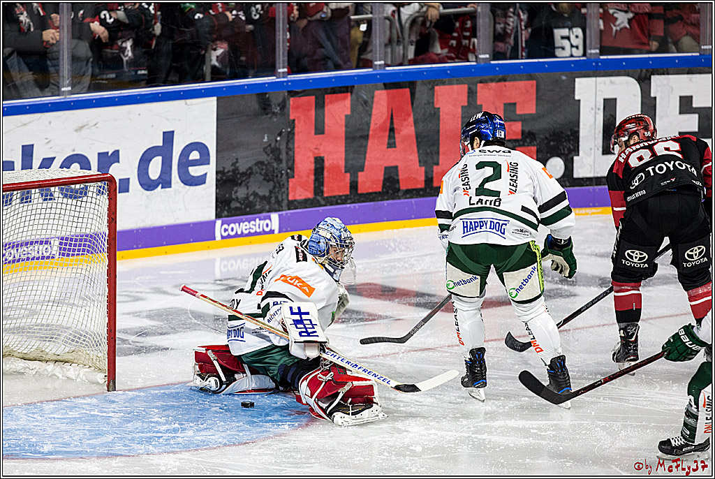 DEL, Koelner Haie - Augsburger Panther, 17.12.2017