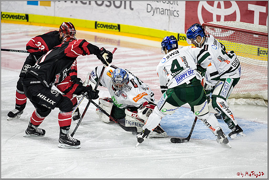 DEL, Koelner Haie - Augsburger Panther, 17.12.2017