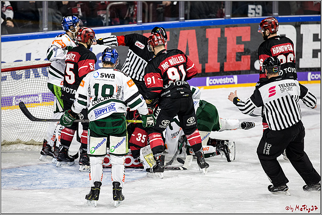 DEL, Koelner Haie - Augsburger Panther, 17.12.2017