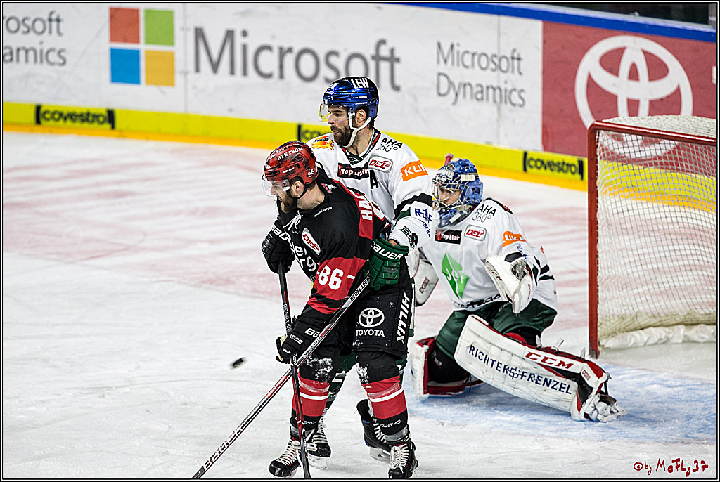 DEL, Koelner Haie - Augsburger Panther, 17.12.2017