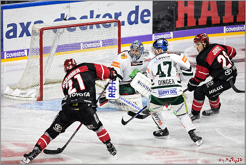 DEL, Koelner Haie - Augsburger Panther, 17.12.2017