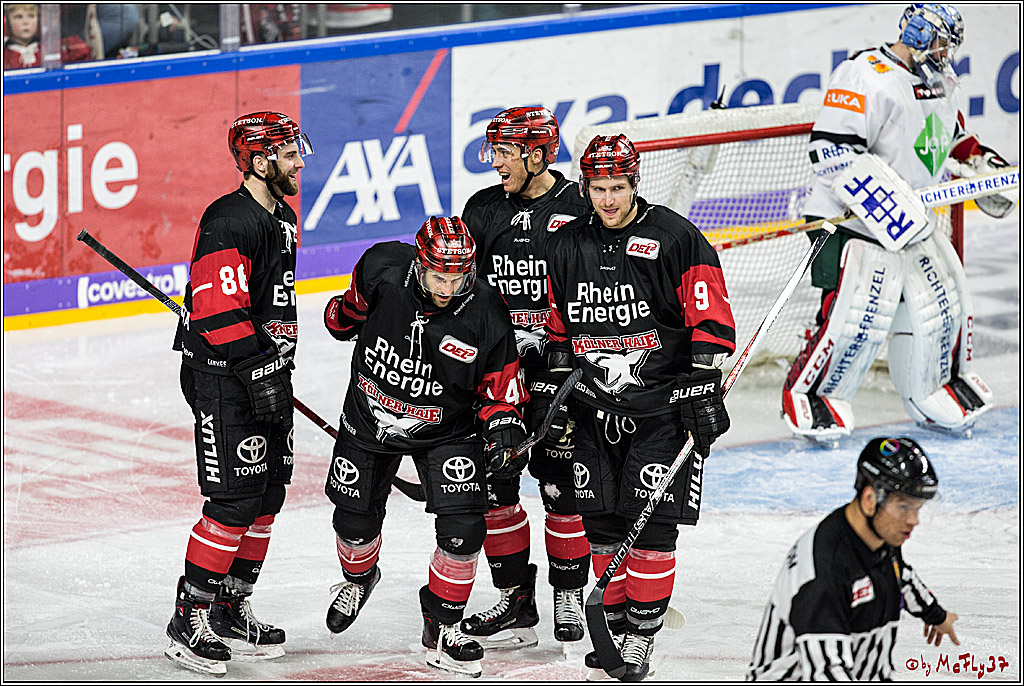 DEL, Koelner Haie - Augsburger Panther, 17.12.2017