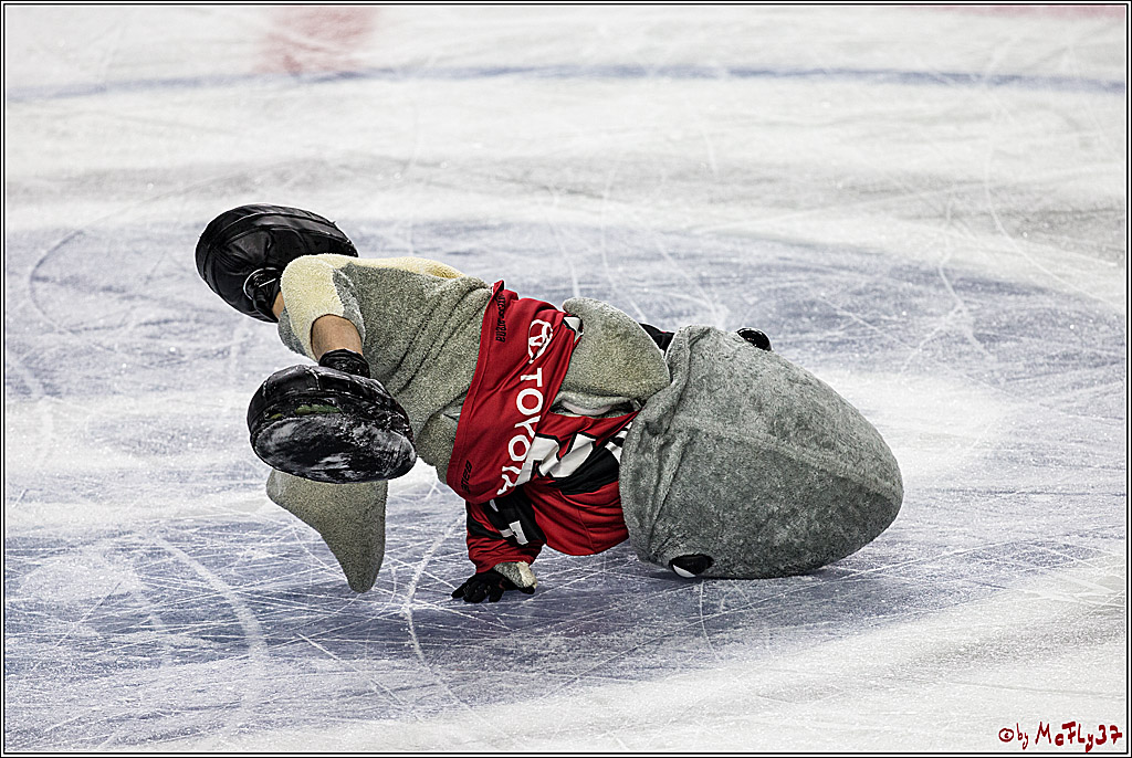 DEL, Koelner Haie - Augsburger Panther, 17.12.2017