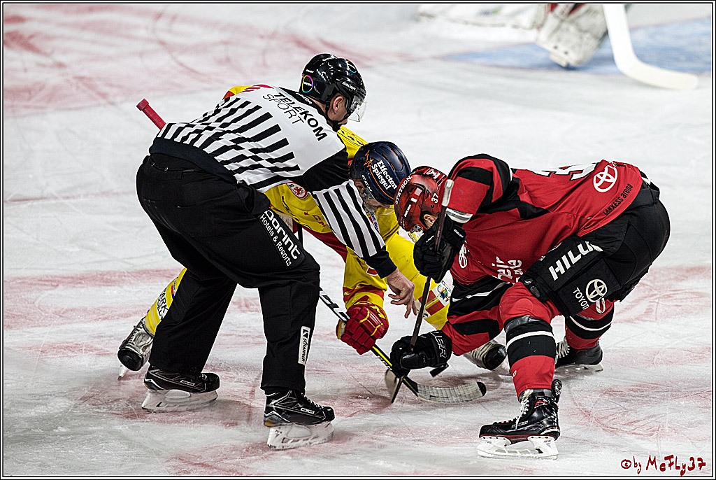 DEL, Koelner Haie - Duesseldorfer EG, 02.01.2018