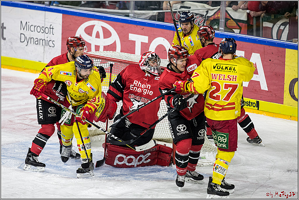 DEL, Koelner Haie - Duesseldorfer EG, 02.01.2018