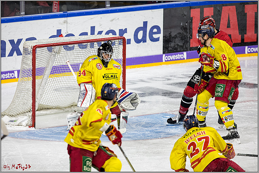 DEL, Koelner Haie - Duesseldorfer EG, 02.01.2018