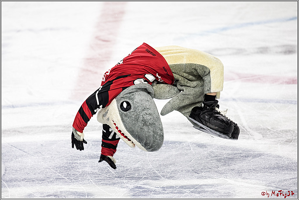 DEL, Koelner Haie - Duesseldorfer EG, 02.01.2018