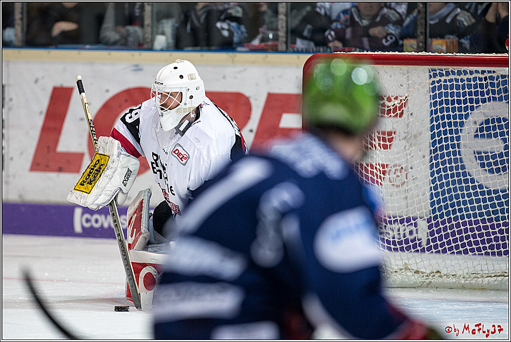DEL, Iserlohn Roosters - Koelner Haie, 28.02.2018