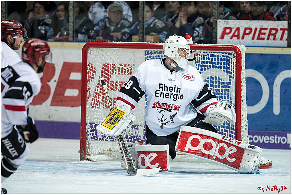DEL, Iserlohn Roosters - Koelner Haie, 28.02.2018