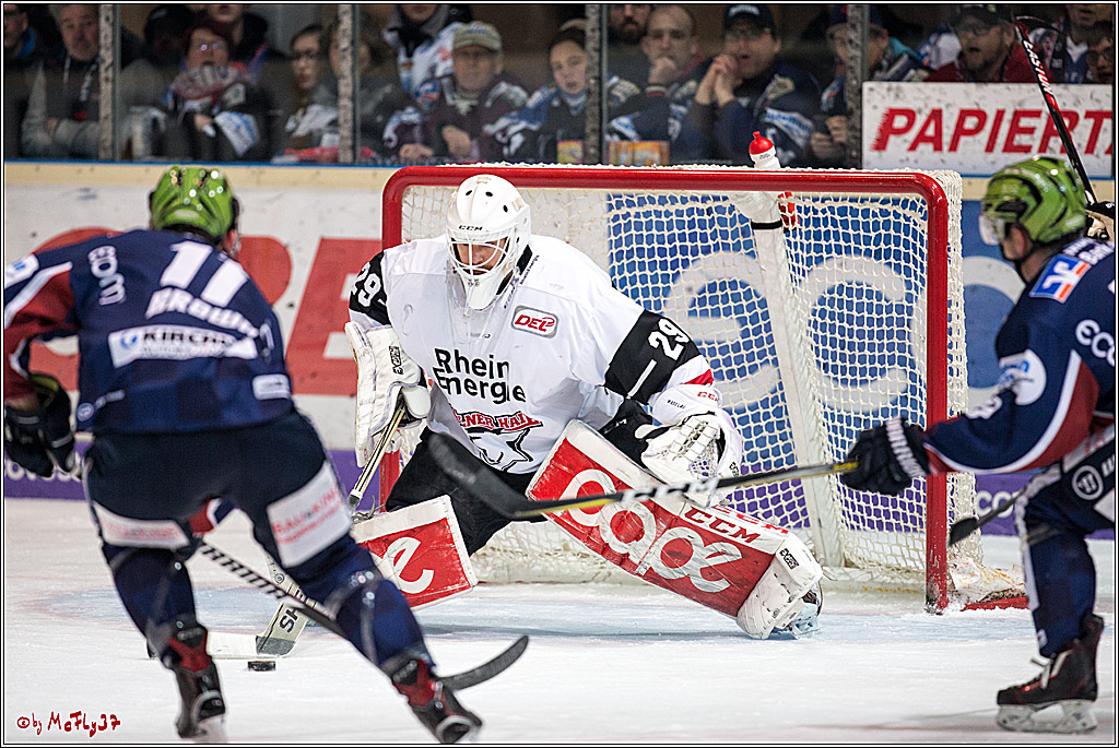 DEL, Iserlohn Roosters - Koelner Haie, 28.02.2018