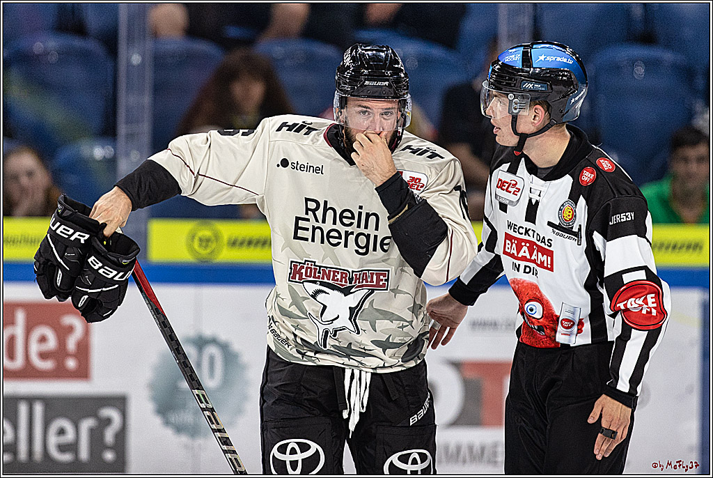 PENNY DEL 1. Testspiel Krefeld Pinguine - Koelner Haie; Krefeld, 10.09.2023
