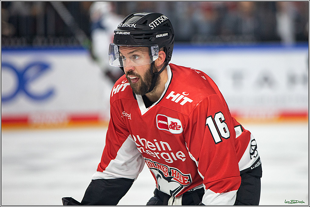PENNY DEL; Koelner Haie- Nuernberg Ice Tigers; Koeln, 15.09.2023
