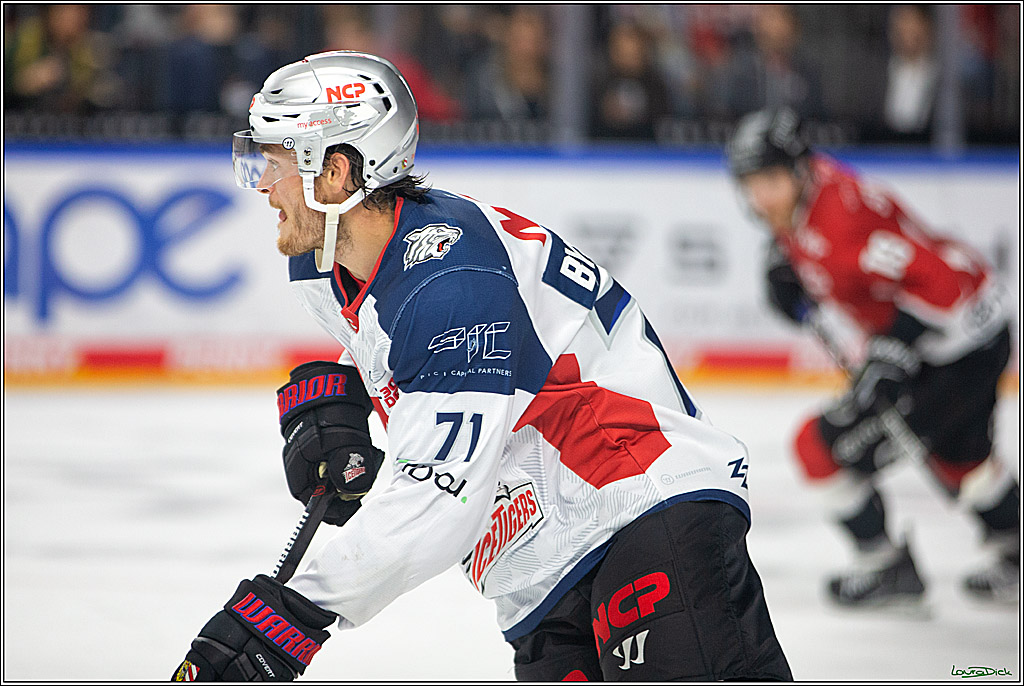 PENNY DEL; Koelner Haie- Nuernberg Ice Tigers; Koeln, 15.09.2023