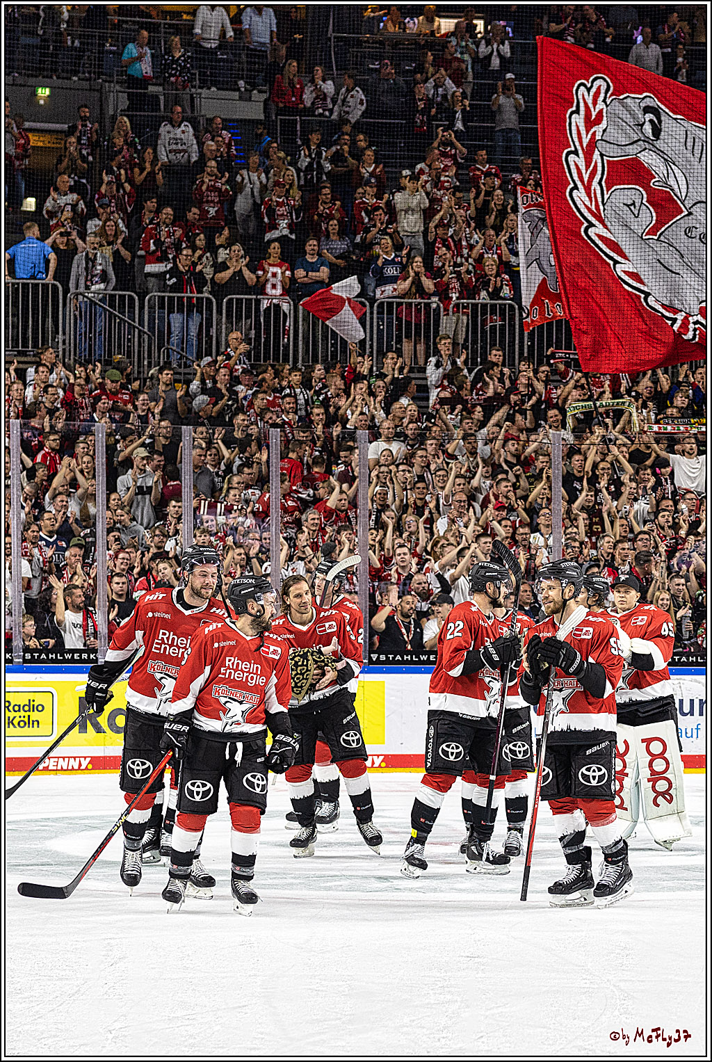 PENNY DEL 1. Koelner Haie - Nuernberg Ice Tigers; Koeln, 15.09.2023