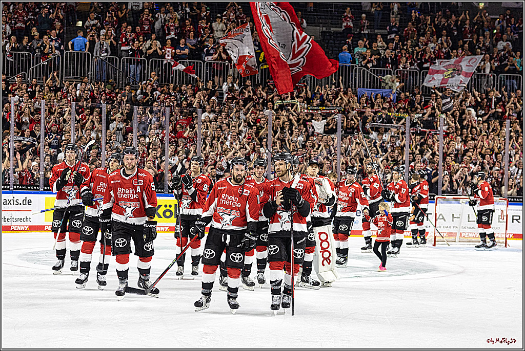 PENNY DEL 1. Koelner Haie - Nuernberg Ice Tigers; Koeln, 15.09.2023