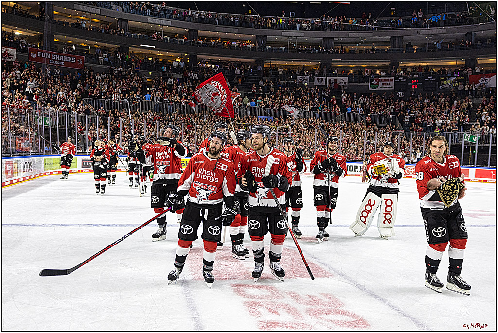 PENNY DEL 1. Koelner Haie - Nuernberg Ice Tigers; Koeln, 15.09.2023