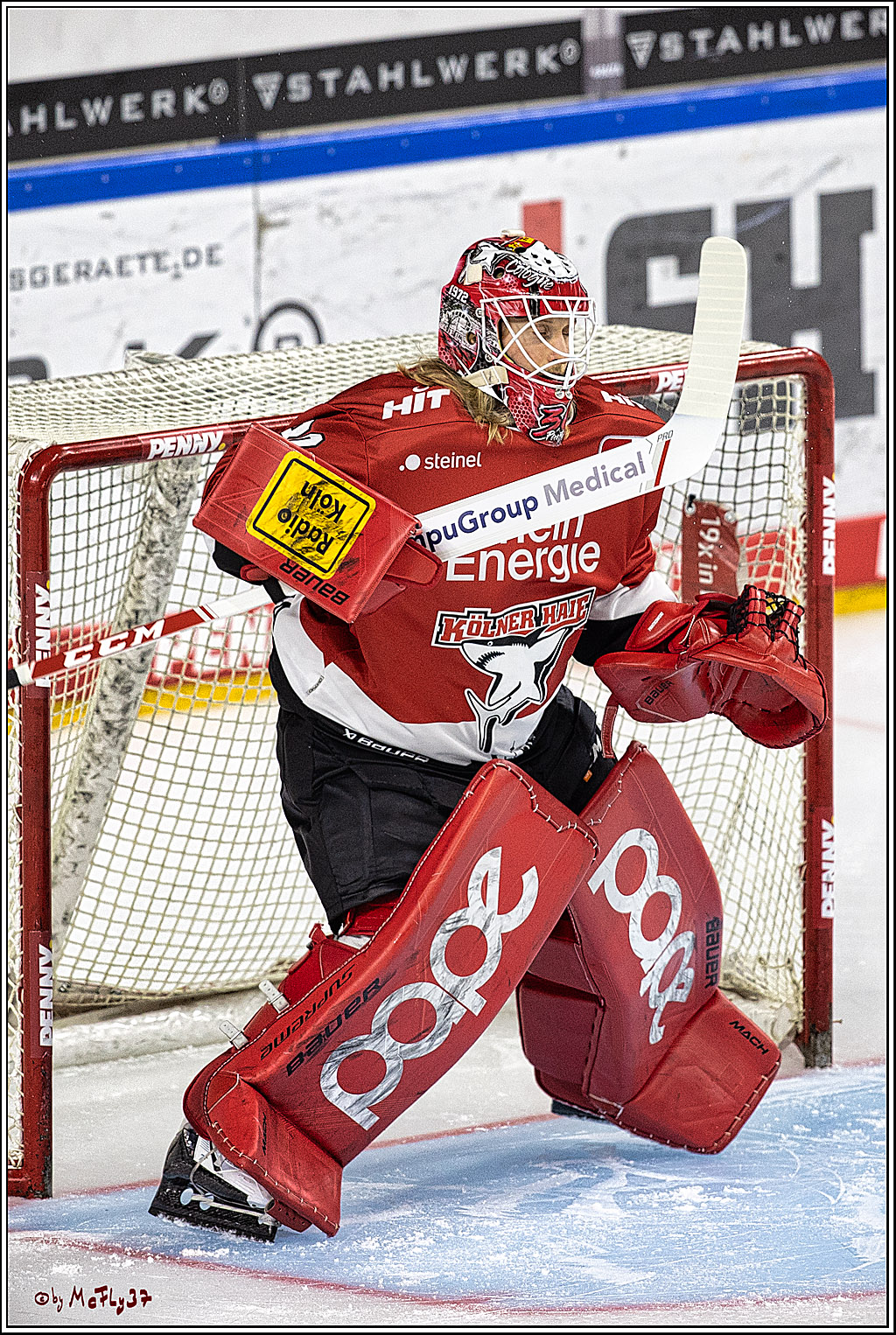 PENNY DEL 1. Koelner Haie - Nuernberg Ice Tigers; Koeln, 15.09.2023