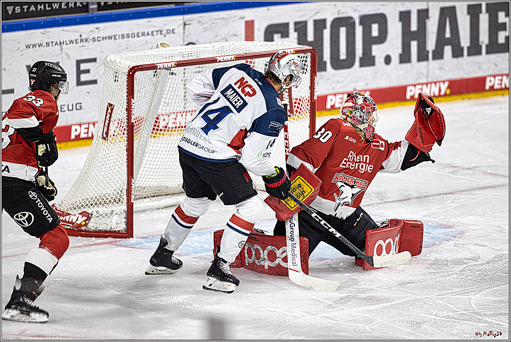 PENNY DEL 1. Koelner Haie - Nuernberg Ice Tigers; Koeln, 15.09.2023
