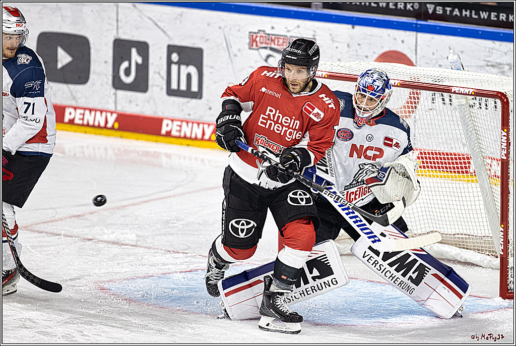 PENNY DEL 1. Koelner Haie - Nuernberg Ice Tigers; Koeln, 15.09.2023