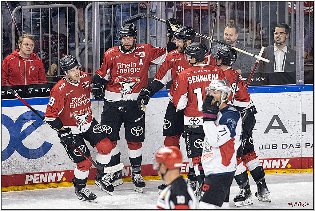 PENNY DEL 1. Koelner Haie - Nuernberg Ice Tigers; Koeln, 15.09.2023