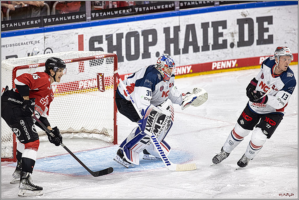 PENNY DEL 1. Koelner Haie - Nuernberg Ice Tigers; Koeln, 15.09.2023
