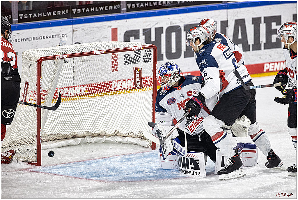 PENNY DEL 1. Koelner Haie - Nuernberg Ice Tigers; Koeln, 15.09.2023