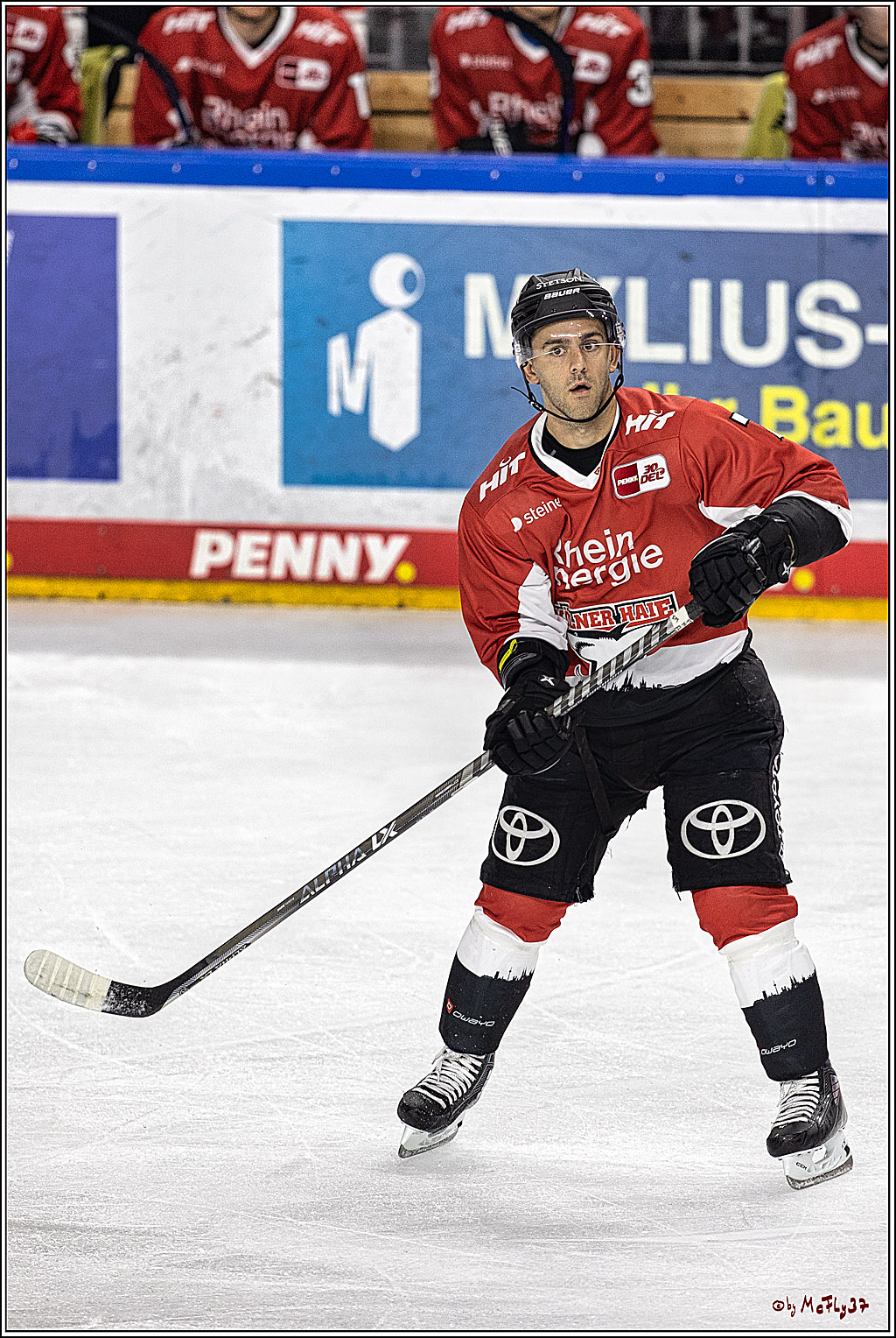 PENNY DEL 1. Koelner Haie - Nuernberg Ice Tigers; Koeln, 15.09.2023