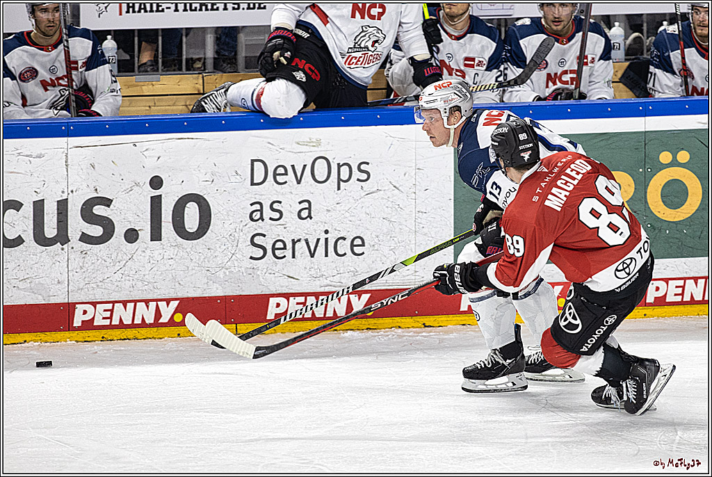 PENNY DEL 1. Koelner Haie - Nuernberg Ice Tigers; Koeln, 15.09.2023