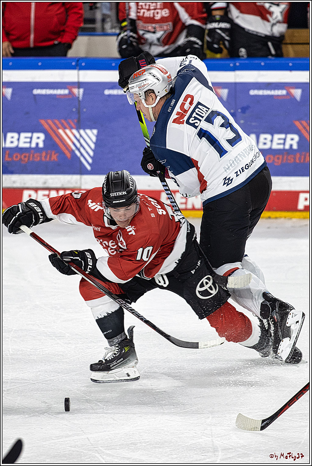 PENNY DEL 1. Koelner Haie - Nuernberg Ice Tigers; Koeln, 15.09.2023