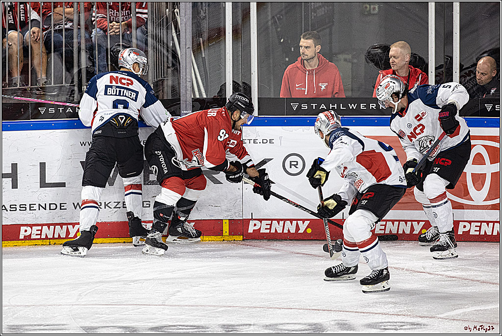 PENNY DEL 1. Koelner Haie - Nuernberg Ice Tigers; Koeln, 15.09.2023