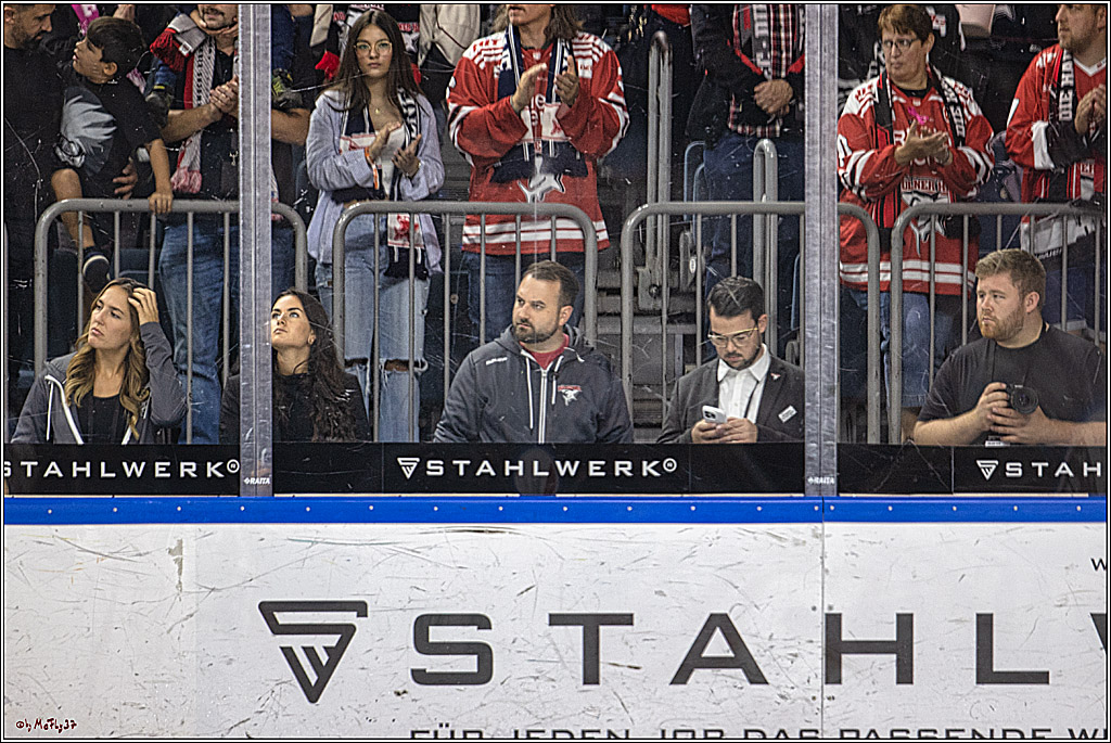 PENNY DEL 1. Koelner Haie - Nuernberg Ice Tigers; Koeln, 15.09.2023