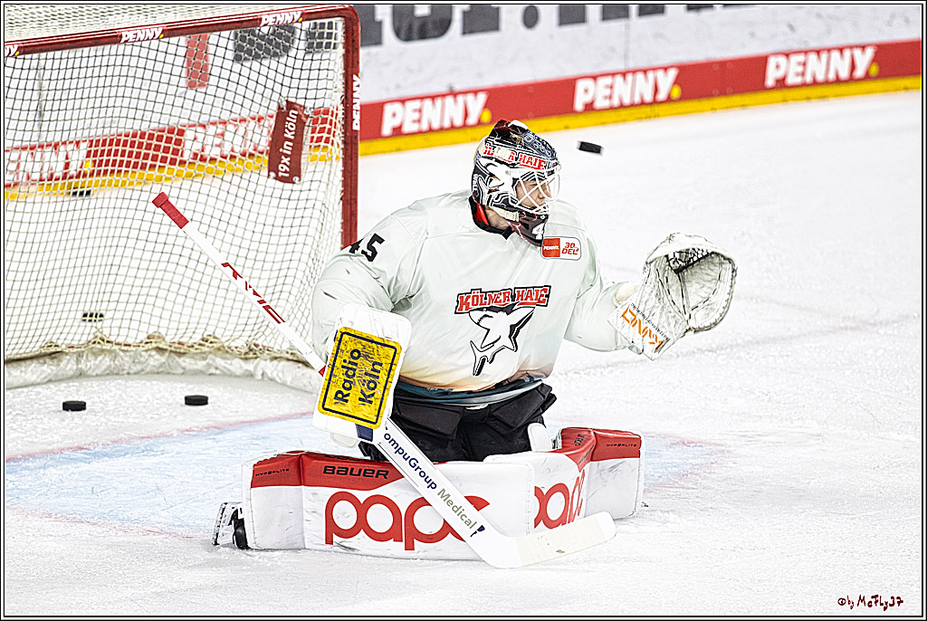 PENNY DEL 1. Koelner Haie - Augsburger Panther; Koeln, 03.10.2023