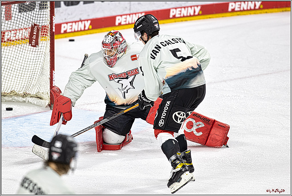 PENNY DEL 1. Koelner Haie - Augsburger Panther; Koeln, 03.10.2023