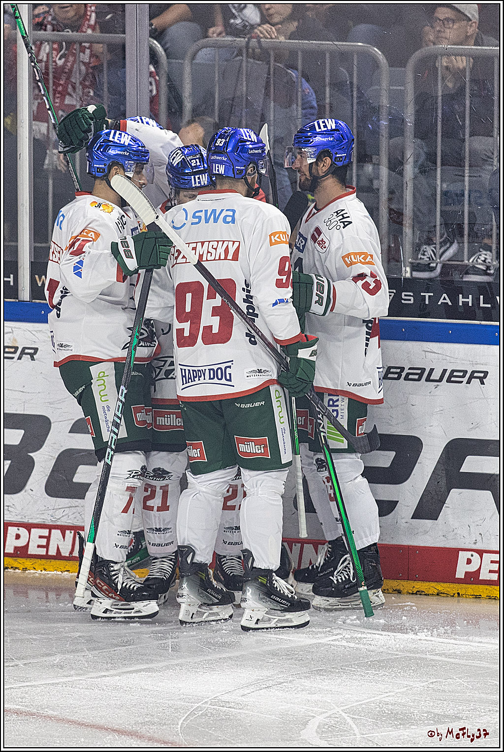 PENNY DEL 1. Koelner Haie - Augsburger Panther; Koeln, 03.10.2023