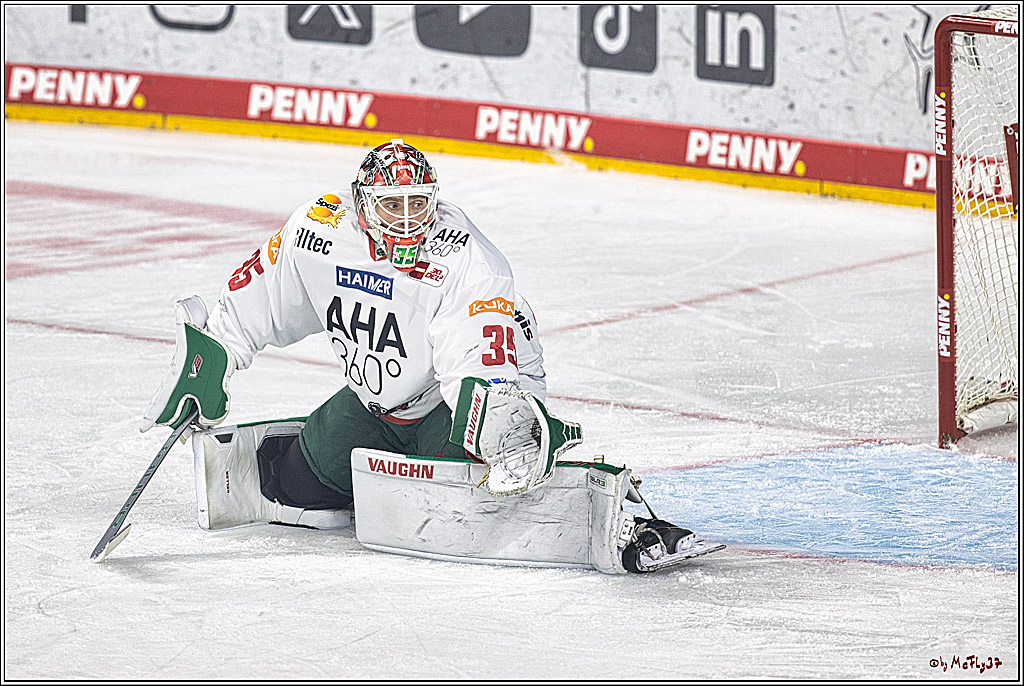 PENNY DEL 1. Koelner Haie - Augsburger Panther; Koeln, 03.10.2023